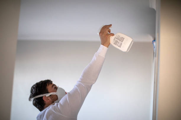 Best Office Mold Removal Services  in Mec, CA