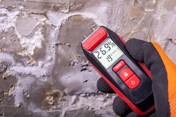 Best Water Damage Restoration  in Mec, CA