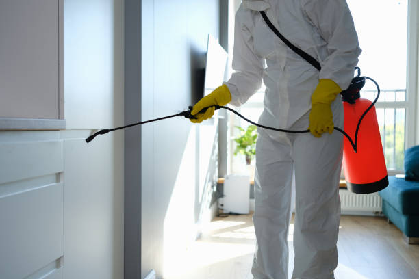 Best Residential Mold Removal  in Mec, CA