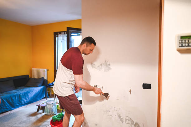 Best Certified Mold Removal  in Mec, CA